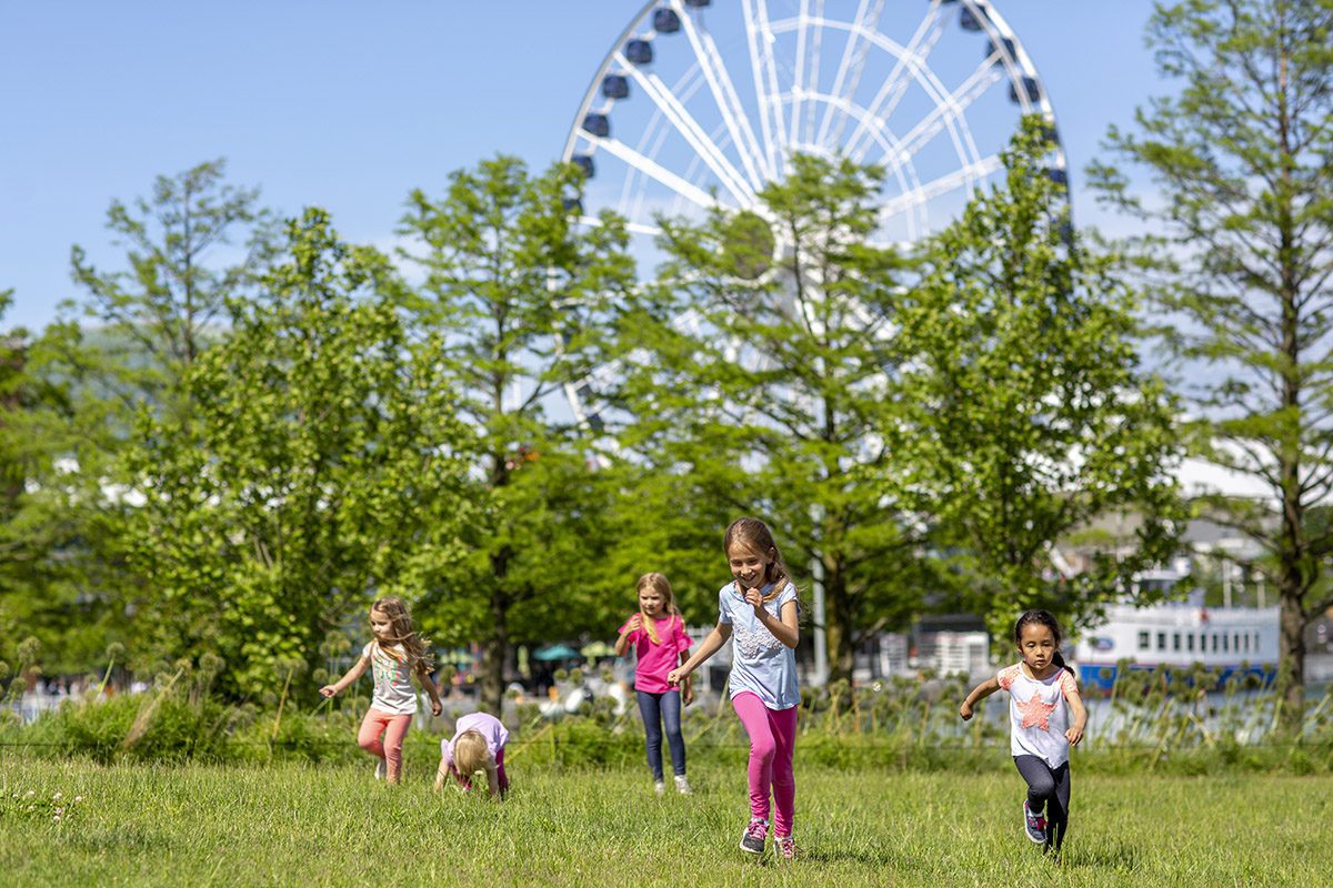 Explore the Latest Outdoor Installation at Navy Pier: Play Never Stops!